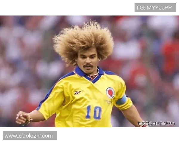 金毛犬在足球场上的明星表现与知名球员盘点