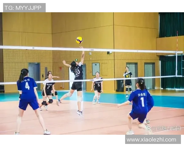南京排球队荣登排球灵活性排行榜第二名展现出色竞技实力