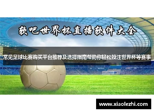 常见足球比赛购买平台推荐及选择指南帮助你轻松投注世界杯等赛事